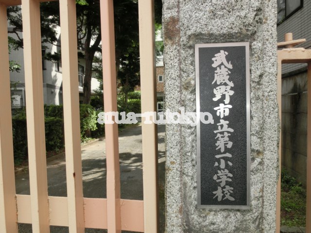 小学校：武蔵野市立第一小学校　334m