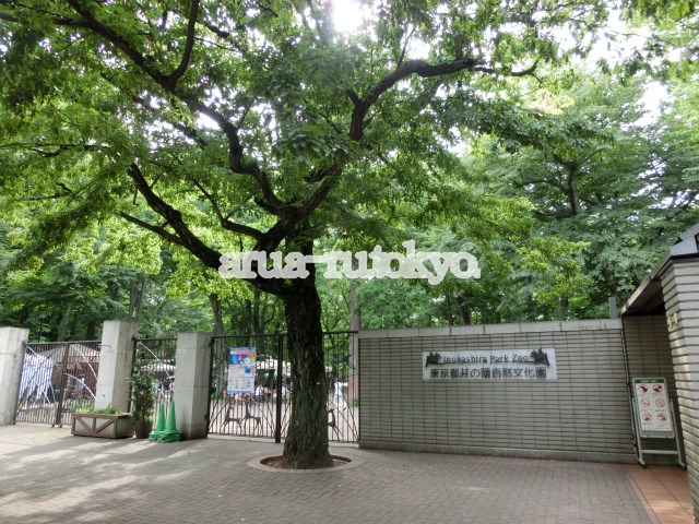 その他：井の頭自然文化園（動物園）　484m