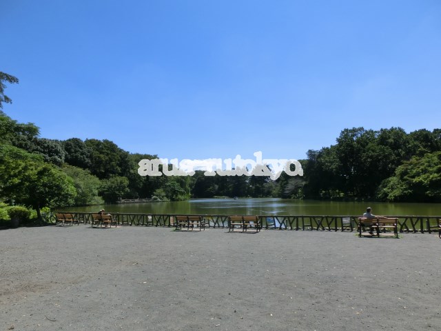 公園：都立 善福寺公園　942m