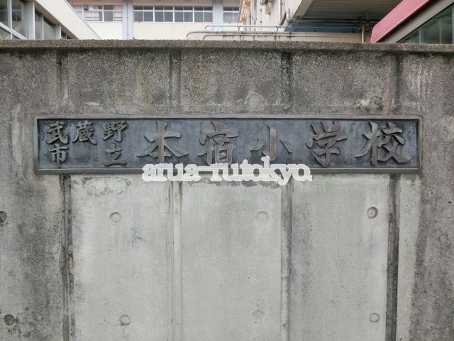 小学校：武蔵野市立本宿小学校　564m