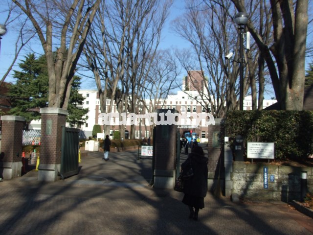 大学・短大：私立成蹊大学　536m