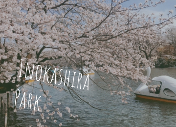 井の頭公園