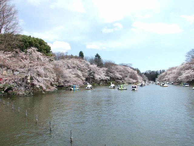 ～3月のご挨拶～