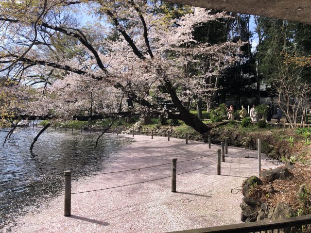 ～4月のご挨拶～