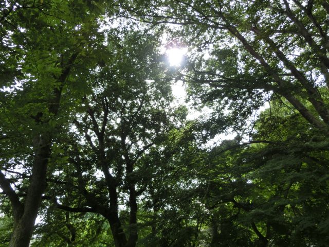 ～5月の挨拶～