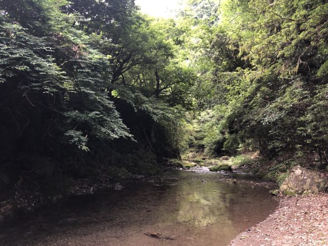 ～8月のご挨拶～